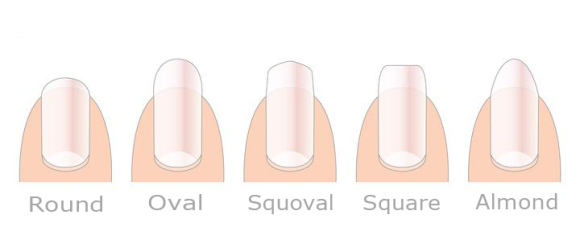 nail shapes